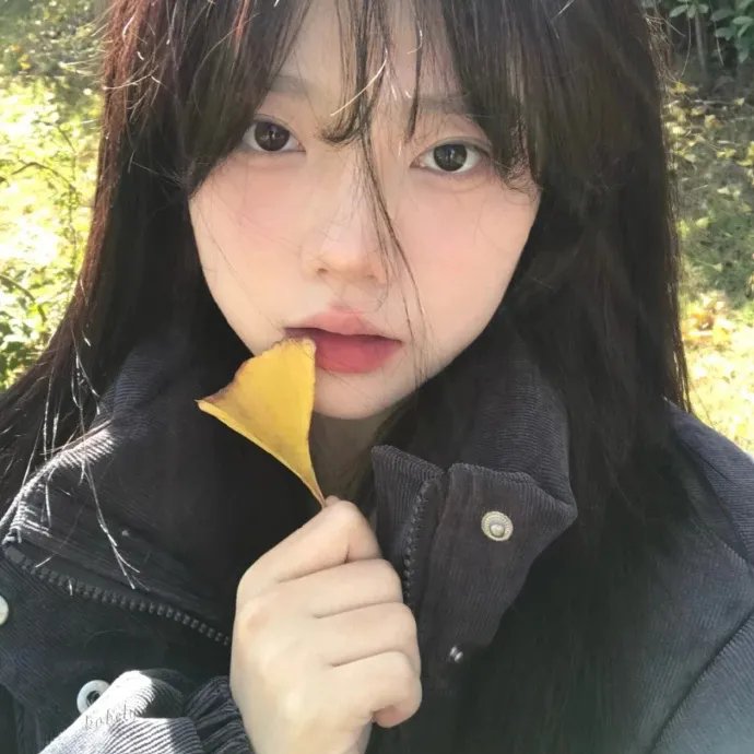 狐狸猎手